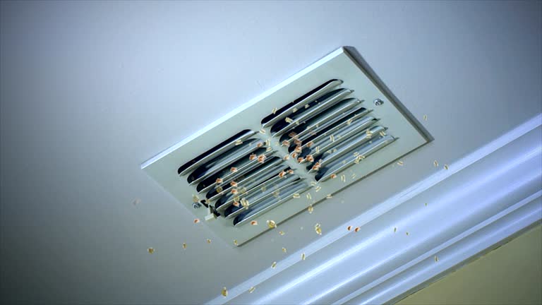 Best Emergency Air Duct Cleaning  in Memphis, FL