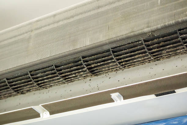 Best Air Duct Cleaning Near Me  in Memphis, FL