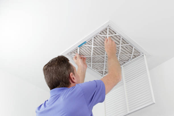Best Affordable Duct Cleaning Services  in Memphis, FL